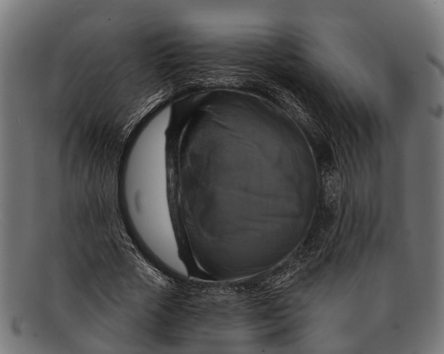 X0000091640729200709131430