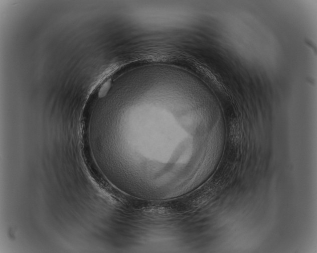 X0000091640730200709131431