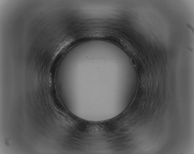 X0000091640731200709131431