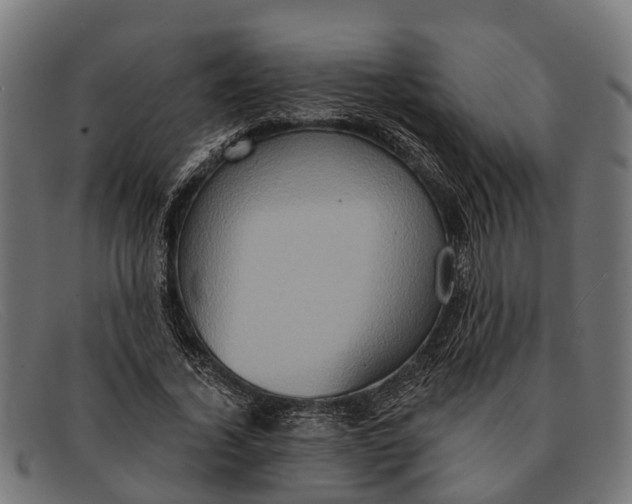 X0000091640732200709131431