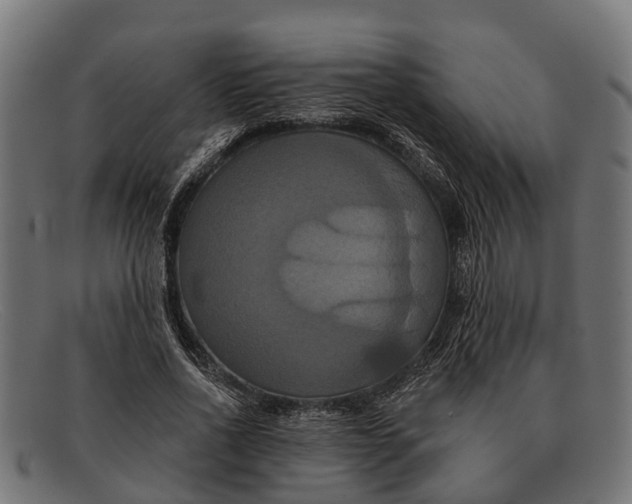 X0000091640734200709131431