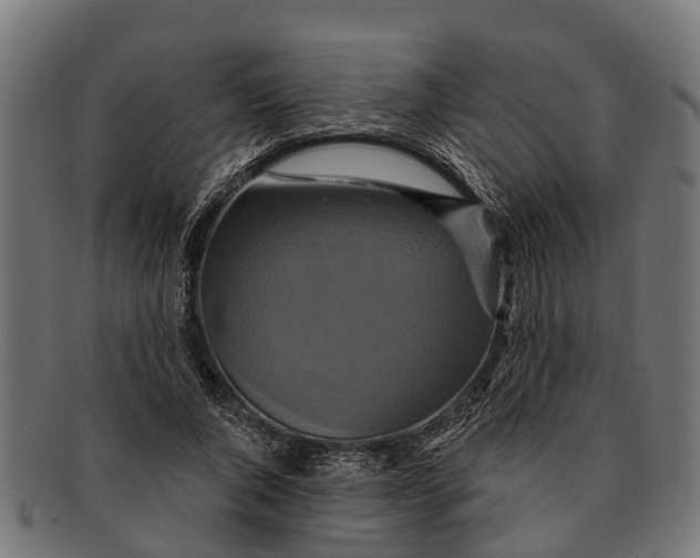 X0000091640736200709131431