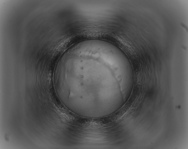 X0000091640737200709131431