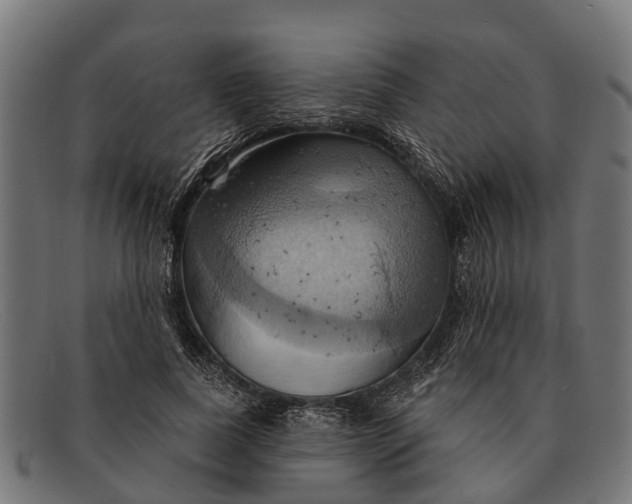 X0000091640739200709131431