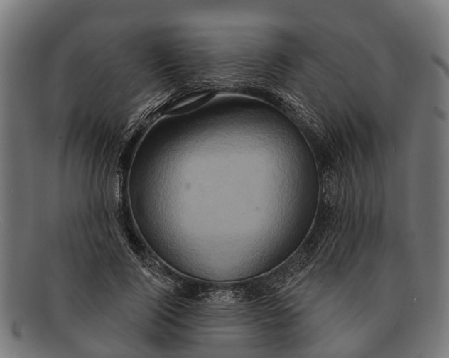 X0000091640740200709131431
