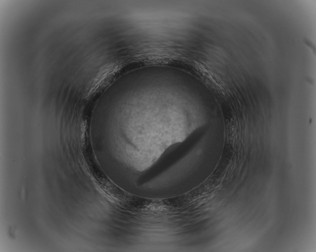 X0000091640742200709131431