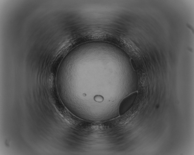 X0000091640744200709131431