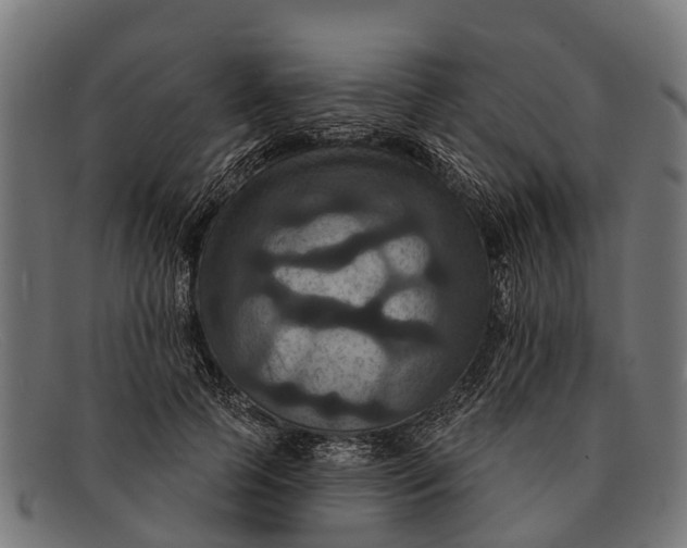 X0000091640745200709131431