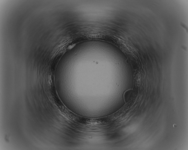X0000091640746200709131431