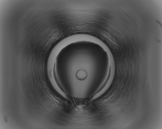 X0000091640748200709131431