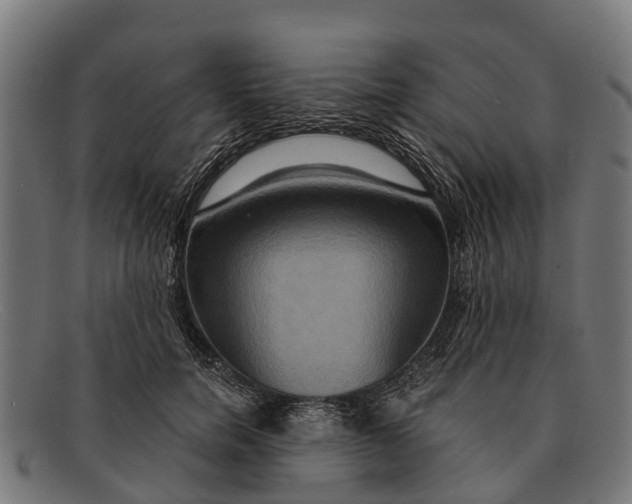 X0000091640750200709131431