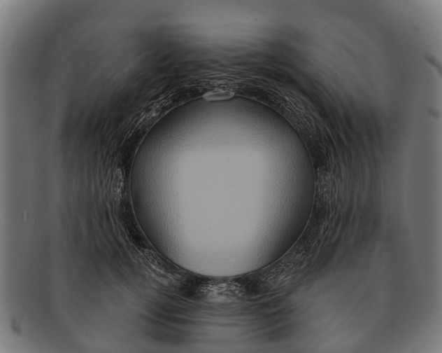 X0000091640752200709131431