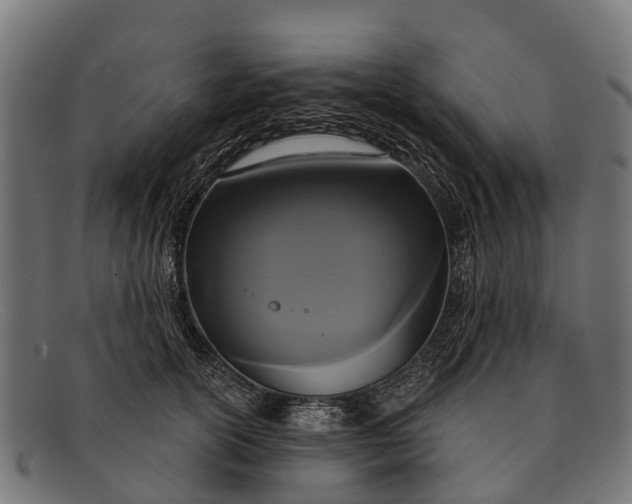 X0000091640754200709131431