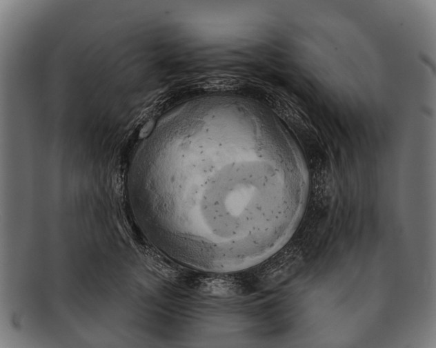 X0000091640755200709131431