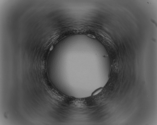 X0000091640756200709131431