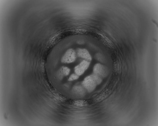X0000091640757200709131431