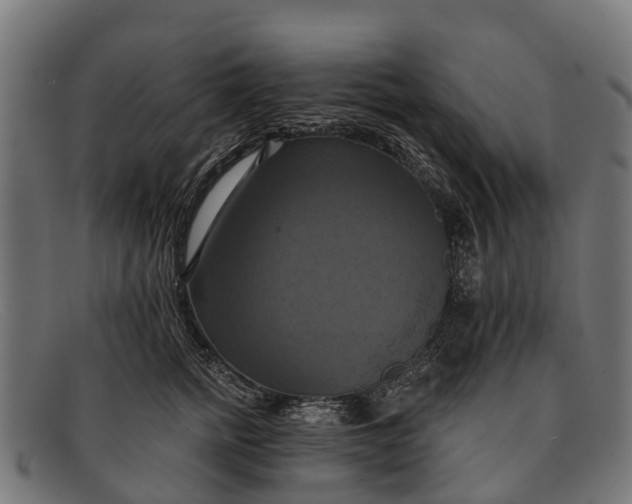 X0000091640758200709131431