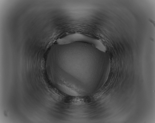 X0000091640760200709131431