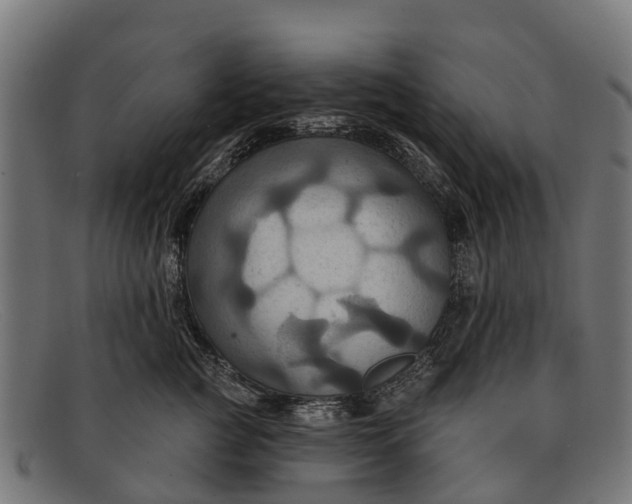X0000091640761200709131431