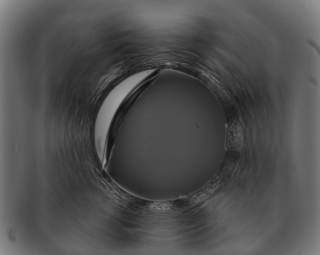 X0000091640762200709131431