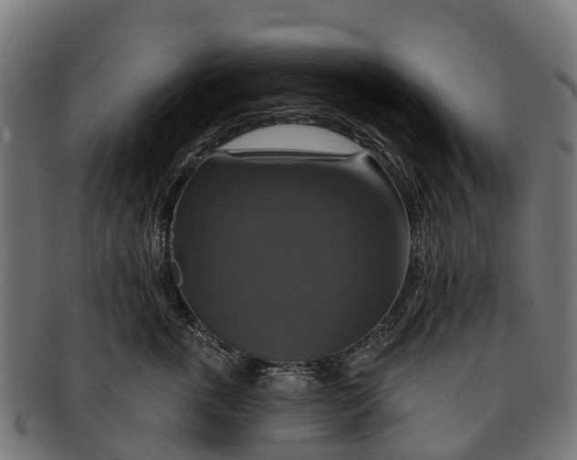 X0000091640763200709131431