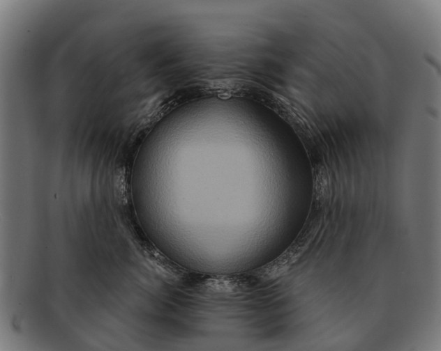 X0000091640764200709131431