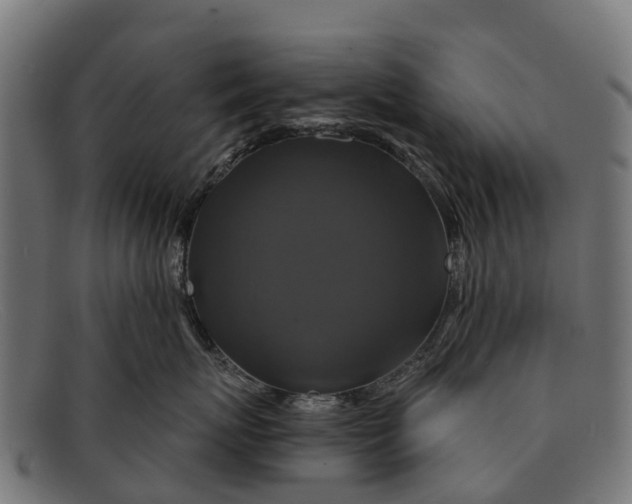 X0000091640767200709131431