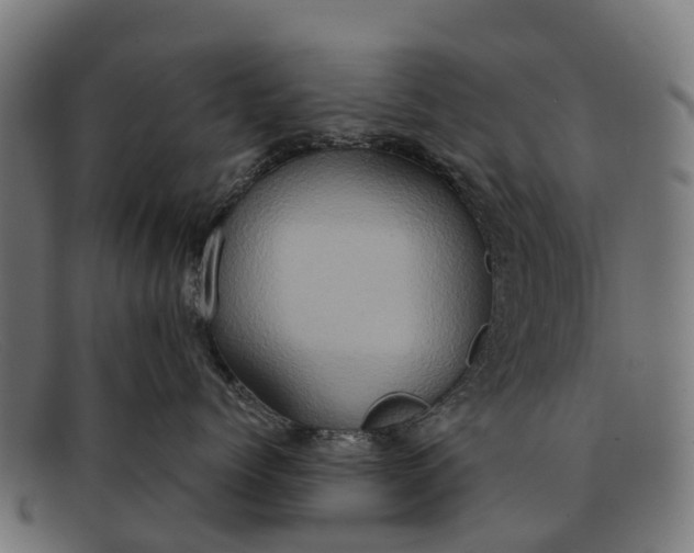 X0000091640768200709131431