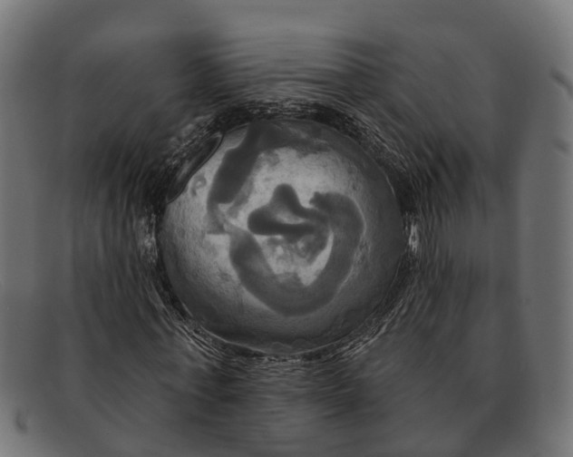 X0000091640771200709131430
