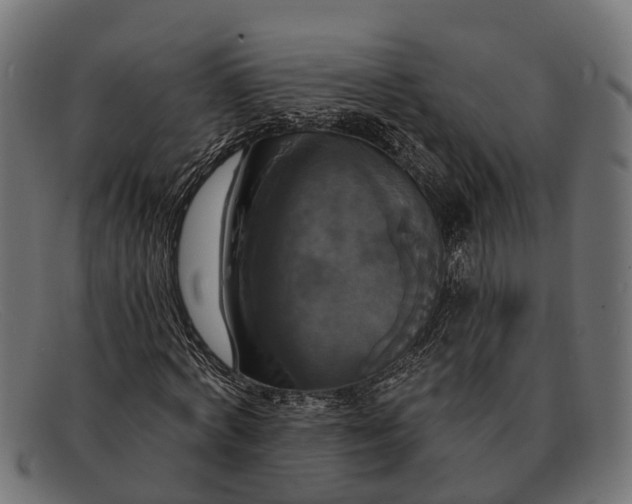 X0000091640772200709131430