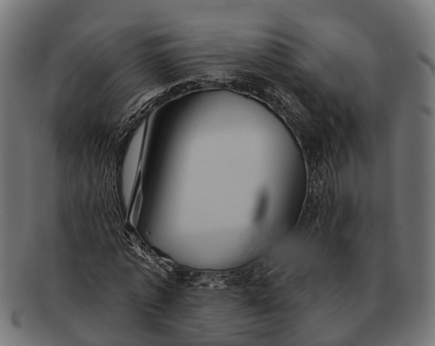 X0000091640773200709131430