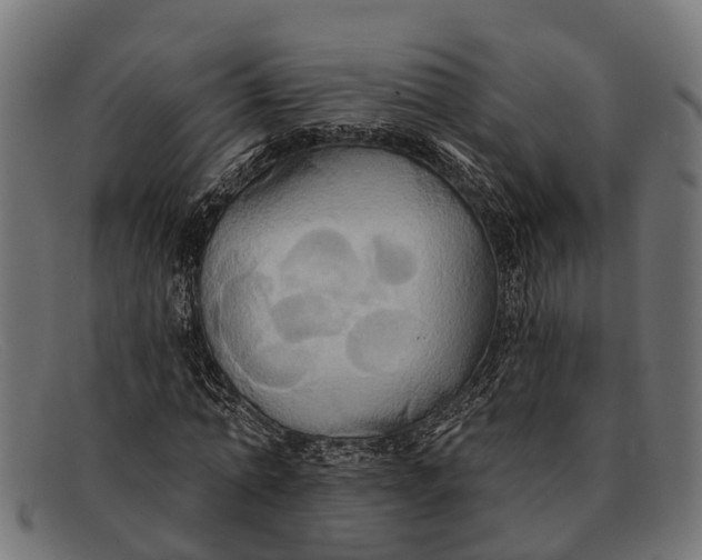 X0000091640774200709131430