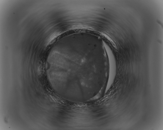 X0000091640775200709131430