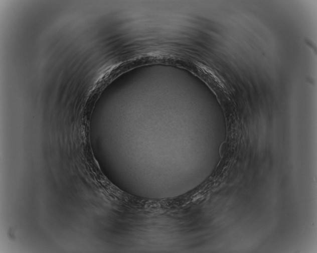 X0000091640776200709131430