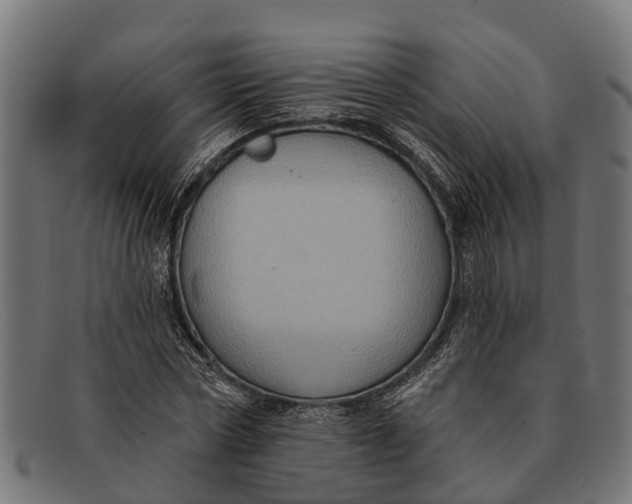 X0000091640778200709131430