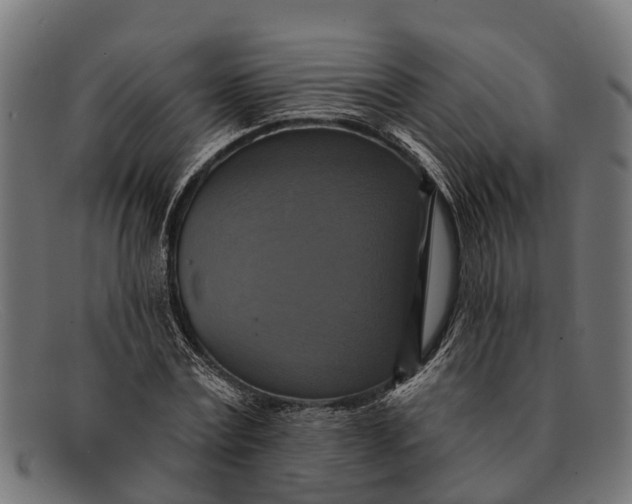 X0000091640779200709131430