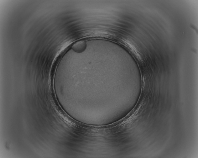 X0000091640780200709131430