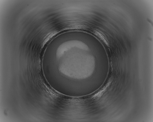 X0000091640781200709131430