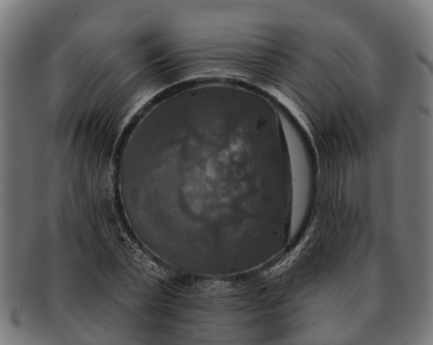 X0000091640783200709131430