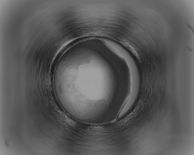 X0000091640784200709131430