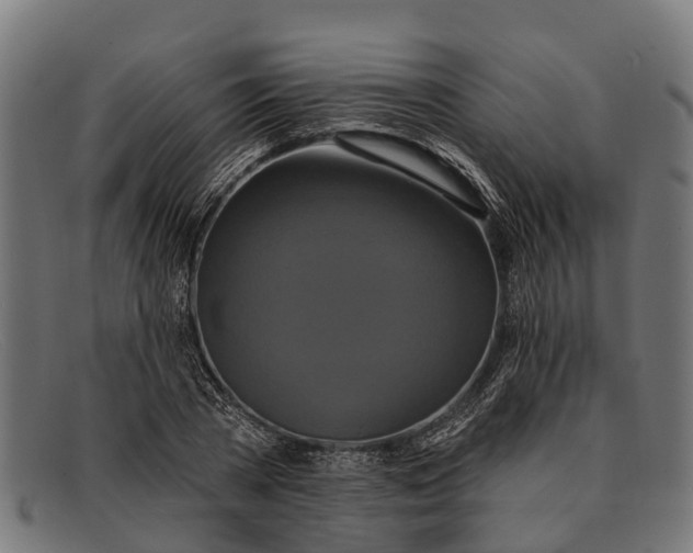 X0000091640785200709131430