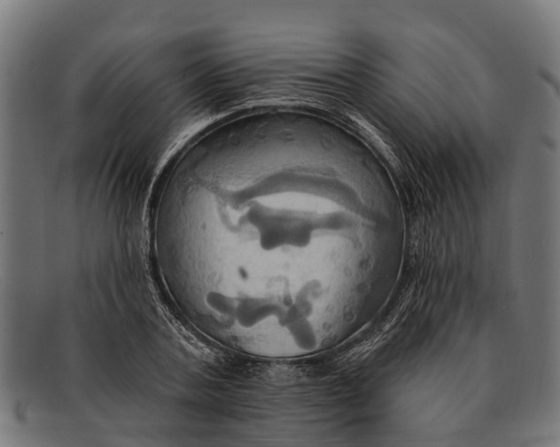 X0000091640787200709131430