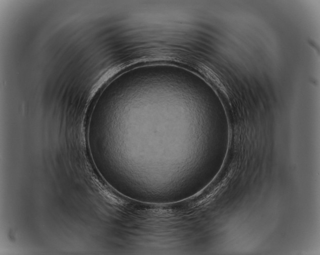 X0000091640789200709131430