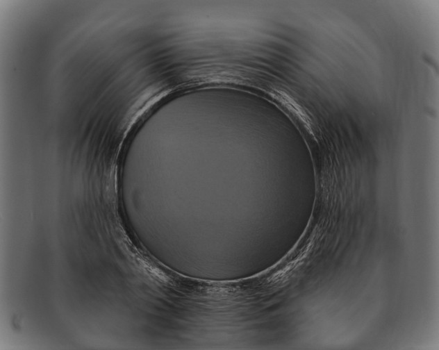 X0000091640790200709131430