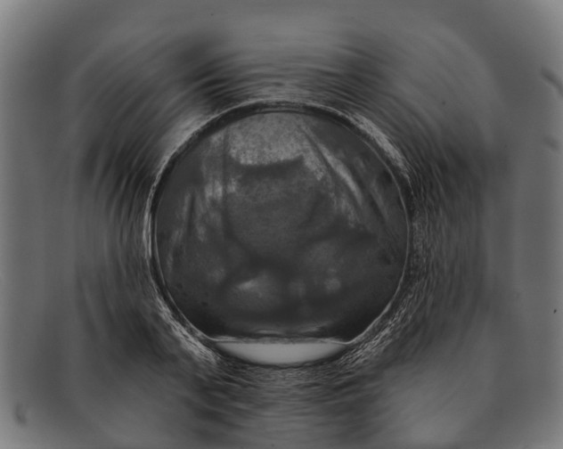 X0000091640791200709131430