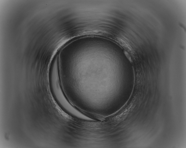X0000091640792200709131430