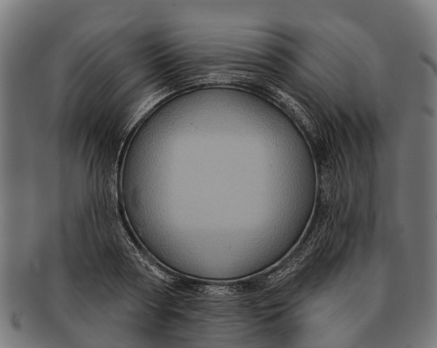 X0000091640794200709131430
