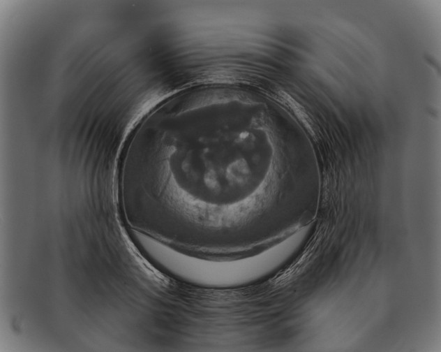 X0000091640795200709131430