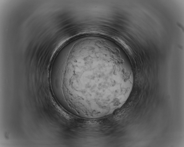 X0000091640799200709131430