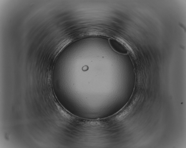 X0000091640801200709131430